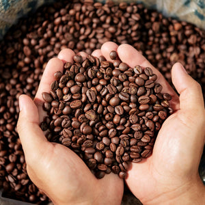 Buy Decaf Coffee online at The Coffee Collective NZ
