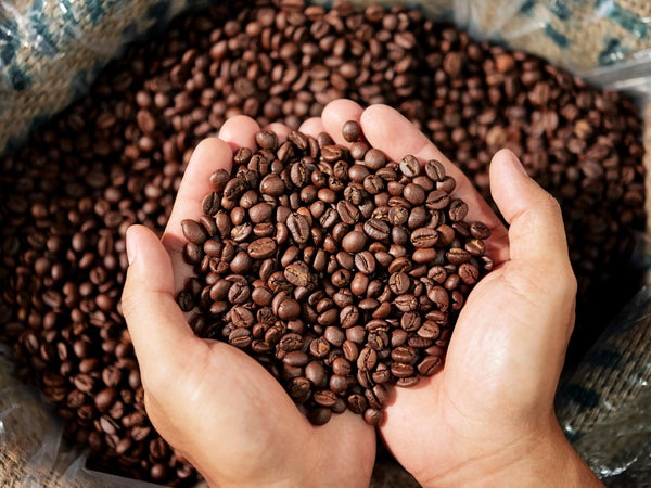 Buy Decaf Coffee online at The Coffee Collective NZ