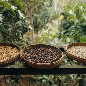 Coffee Blends