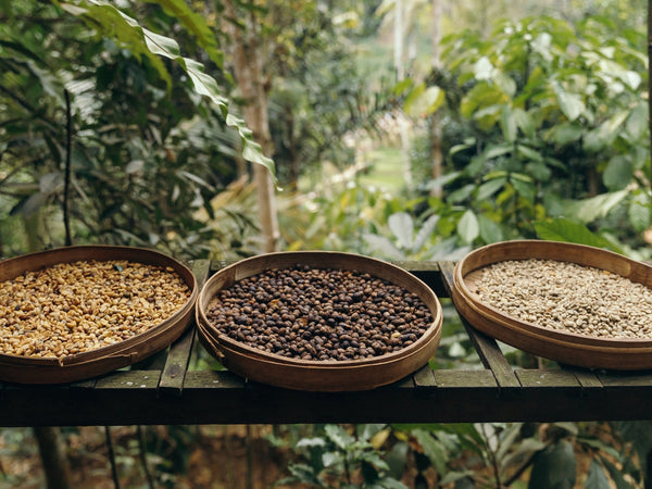 Coffee Blends