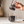 Aeropress Clear Coffee Maker XL