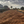Society Coffee Ethiopia Coffee Exotic Selection - Danche Red Honey
